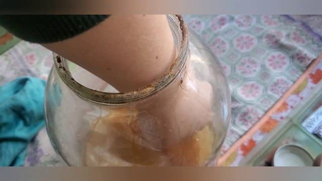 как заправлять чайный гриб смотреть онлайн