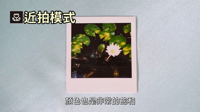 instax SQUARE SQ6 拍出創意的7種模式 | 富士拍立得 смотреть онлайн