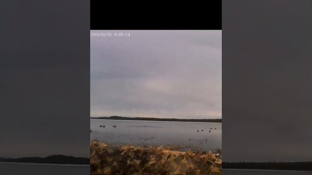 Охота на турпана 2022 Вилюйский район,Яркие моменты.. смотреть онлайн
