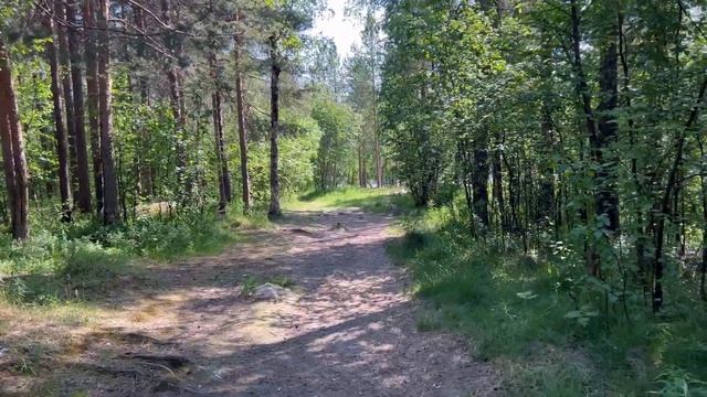 Мончегорск | ЛЕТО | ГУЛЯЕМ ПО ГОРОДУ | ИМАНДРА | МУРМАНСКАЯ ОБЛАСТЬ | КРАЙНИЙ СЕВЕР смотреть онлайн