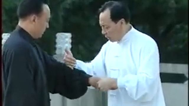 32 техники циньна Чень ши тайцзи цюань/陳式太極-32擒拿 (張志俊)/Chén Shì Tàijí-32 Qínná (zhāng Zhìjùn)