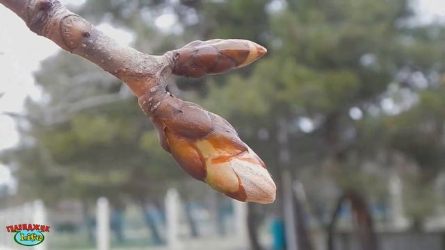 VLOG 459 Геленджик LIFE Подземный выход к морю