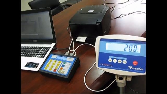 Весы с печатью этикеток смотреть онлайн