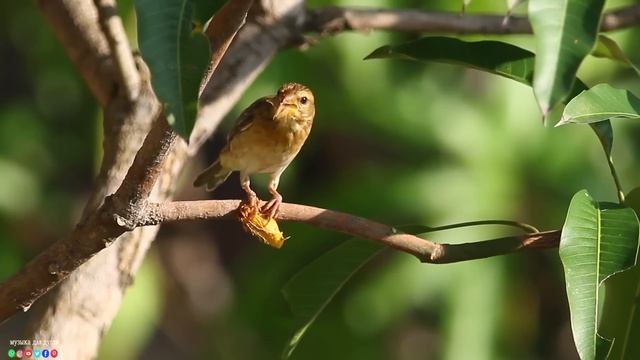 "ДОРОГА В НЕБЕСА" Три месяца я слушала только эту музыку...музыка для сна, души и тела смотреть онлайн