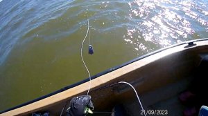 Ловим сома на Бахтемире.