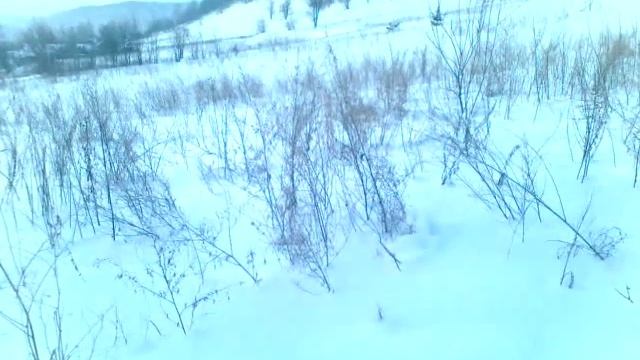 Миньяр конец дня сумерки снято 10.01.16 смотреть онлайн