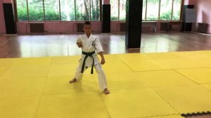 Кихон Ренраку на 8 кю (в перемещении)