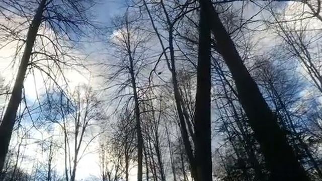 Грозовое небо. смотреть онлайн