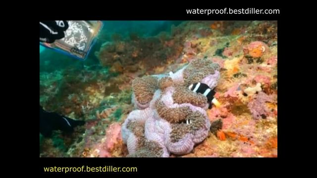 Водонепроницаемый чехол для телефона Water Proof смотреть онлайн