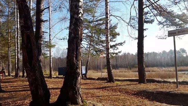 Пруд Войновский Тюмень/ мясо на мангале смотреть онлайн