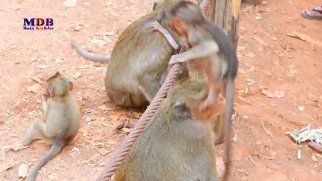 Mom Watch Baby Playing In Very Concerned Face But Kids Are So Happy