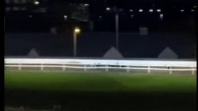 IGB - Welcome To Waterford Greyhound Stadium 30/11/2019 Race 1 - Waterford смотреть онлайн