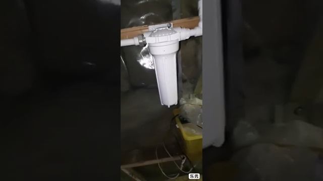 Вешенка на сене у себя дома смотреть онлайн