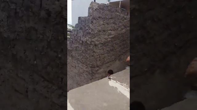 Влог:Пьяные люди смотреть онлайн