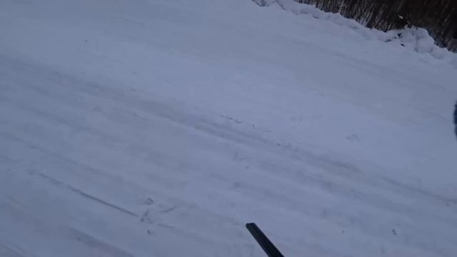 Охота с Русской гончей на зайца 9 02 23 смотреть онлайн