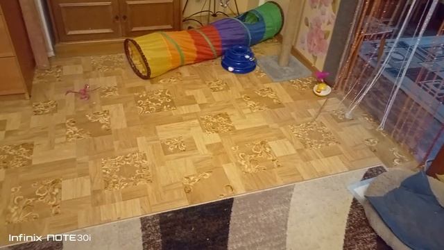 Неугомонные барышни !!! смотреть онлайн