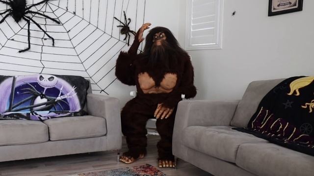 Husky Pranked By Scary Big Foot! смотреть онлайн