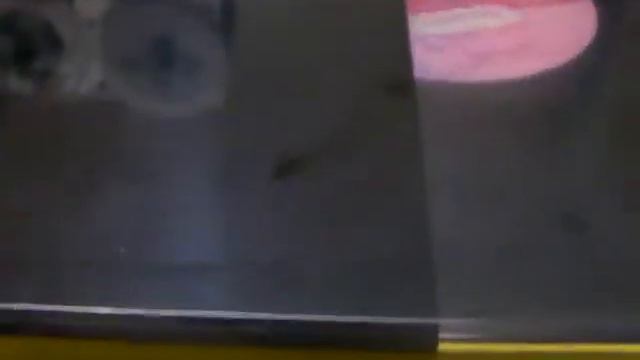 โลกของผึ้ง смотреть онлайн