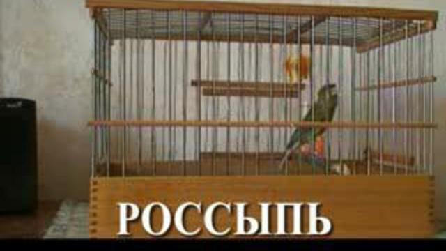 Канарейка смотреть онлайн