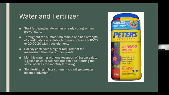 Holiday Cactus смотреть онлайн