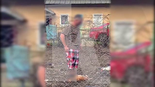 Житель Светлого задушил соседскую таксу на глазах 11-летнего летнего ребенка смотреть онлайн