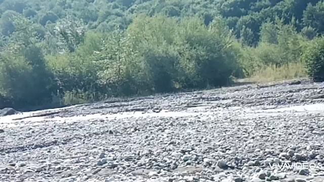 Tofiq Ağayev —VAY BU HALIMA.
Söz Baba Vəziroğlu
Mus. T. Ağayev