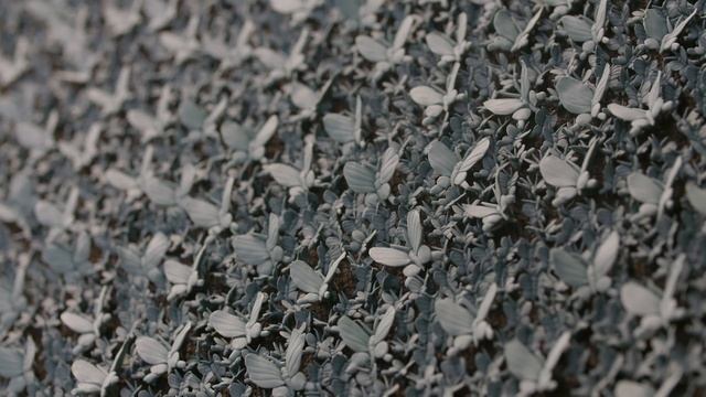 Ancient and Modern China and South Asia in 10 Objects | British Museum Tour of the Hotung Gallery смотреть онлайн