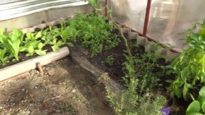 МЕСТО ДЛЯ РАССАДЫ - ПОДОКОННИКИ, ПОДСВЕТКА, ТЕПЛИЧКА