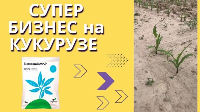 СУПЕР УДОБРЕНИЕ ДЛЯ КУКУРУЗЫ! БОЛЬШЕ и РАНЬШЕ! смотреть онлайн