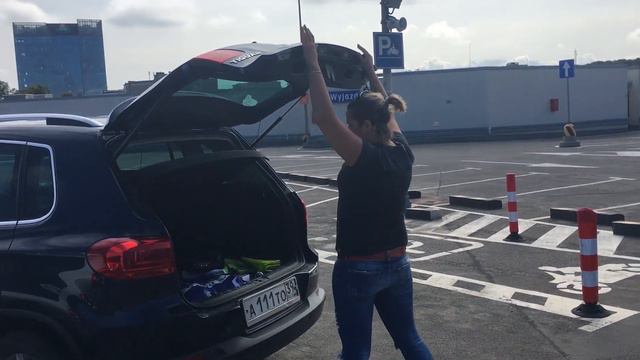 Приключения Коши и Платоши в Гданьске смотреть онлайн