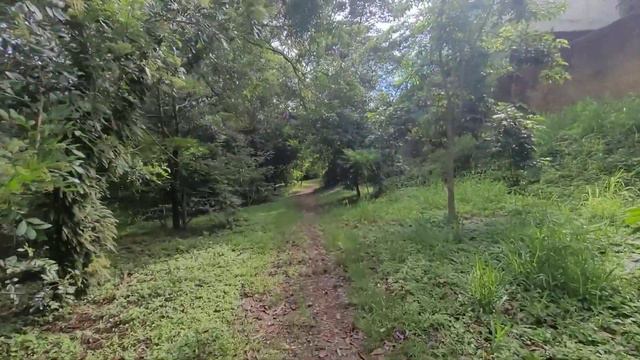 CABEÇÃO DE SIRENE GIGANTESCO смотреть онлайн