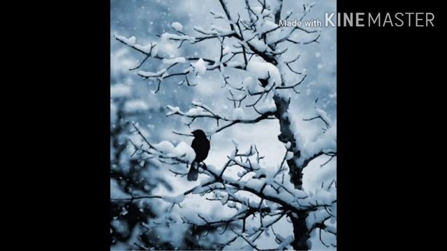 Class_10 (the First Flight ) poem. Dust of snow summary + explanation + literary devices.. смотреть онлайн