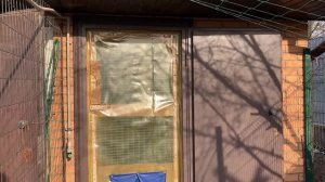 Куры несушки в мороз на улице До какой температуры