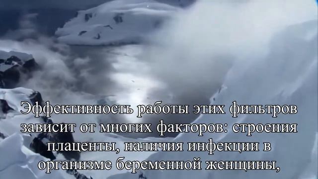 Конфликт резус факторов — так ли это трагично — Статья смотреть онлайн