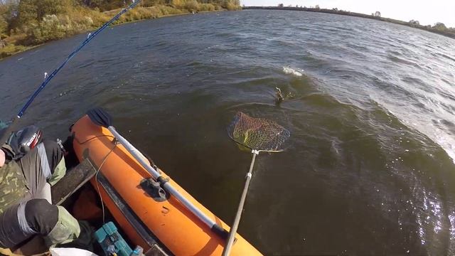 Ока,троллинг с руки (дорожка),сильный ветер и щука ловится смотреть онлайн