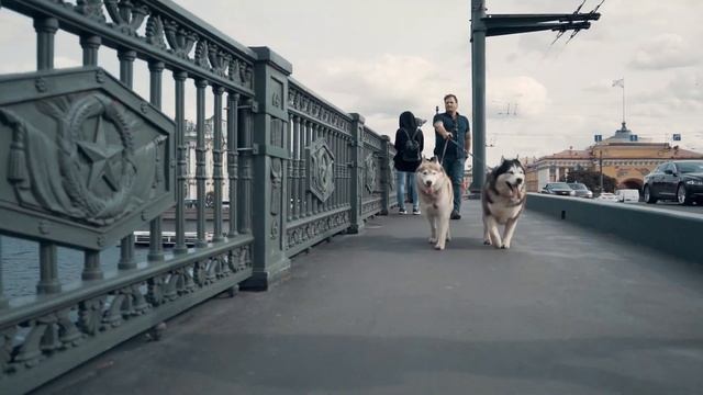 "Лицом к лицу" смотреть онлайн