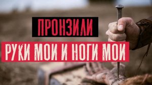 Пронзили руки мои и ноги мои | Псалом 21:17 | Раввин Михаил Финкель