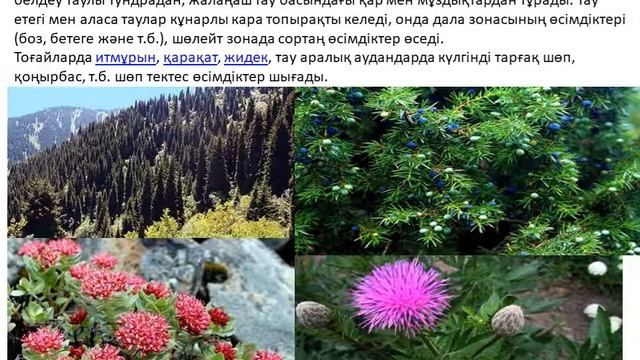 6 с Алтай тауы смотреть онлайн