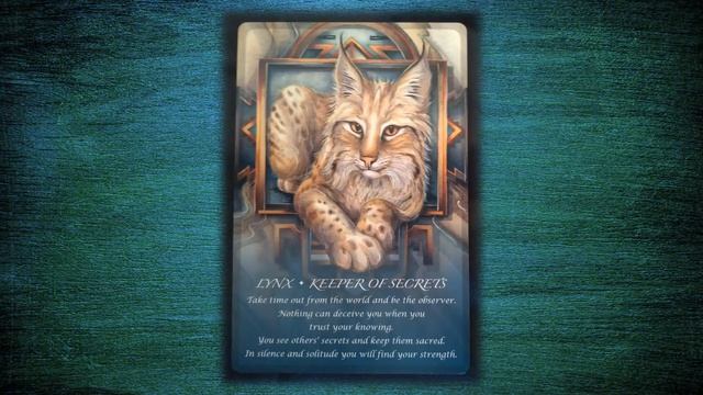 SPIRIT OF THE ANIMALS ORACLE REVIEW (JODY BERGSMA) UNBOXING, ALL CARDS FLIP THROUGH смотреть онлайн