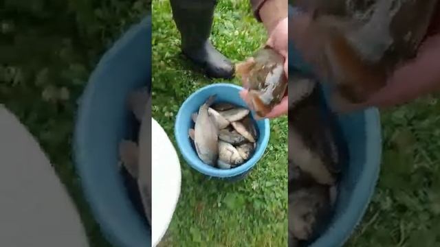 Время ловли карася смотреть онлайн