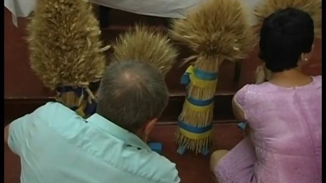 спельта смотреть онлайн
