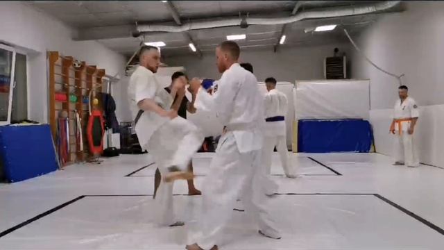 Тренировка 14 07 2020. Kyokushinkai Karate