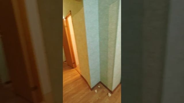 Строим новую квартиру из ВТОРИЧКИ #отделкаподключ #студияремонта #ремонтквартир #демонтаж смотреть онлайн