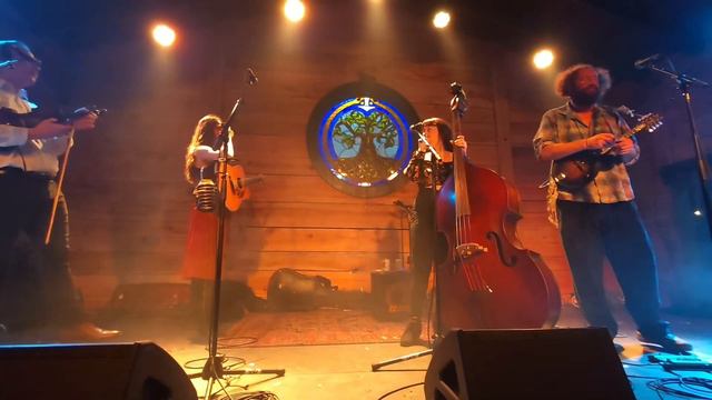 Mama Said String Band At The Burl In Lexington, KY On 3/1/2024