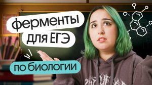 💪ВСЯ теория про ФЕРМЕНТЫ для ЕГЭ по биологии 2025