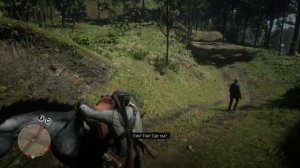 Гэвин, вернись к нам! Тайна раскрыта в Red Dead Redemption 2