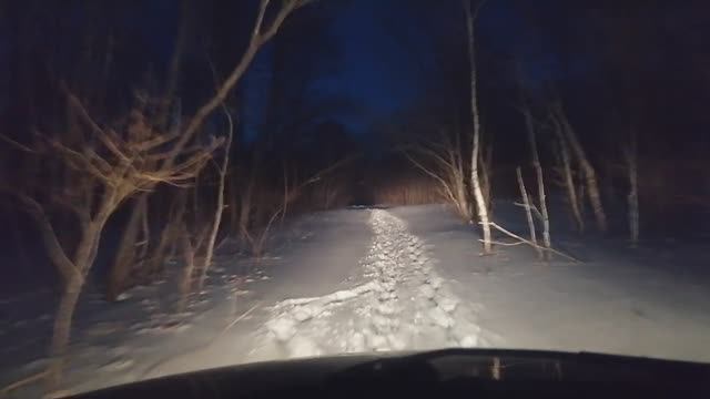 вечерние покатушки по зимнему лесу смотреть онлайн