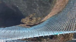 Экскурсия в Нячанге Южные острова