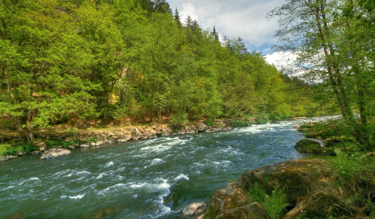 Успокаивающие Звуки леса. Звуки успокаивающего водопада в лесу ✦ Relax смотреть онлайн