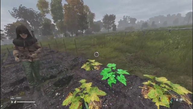 Kumyrna's Most Dangerous: Community Garden (DayZ PVP) смотреть онлайн